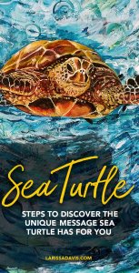 Sea turtle symbolism: Learn the unique message and meaning sea turtle spirit animal has for you