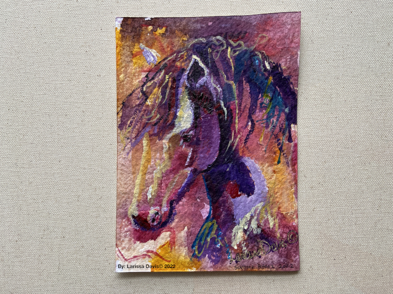 Larissa Davis Sovereign Collection: The Hundred Horses 001