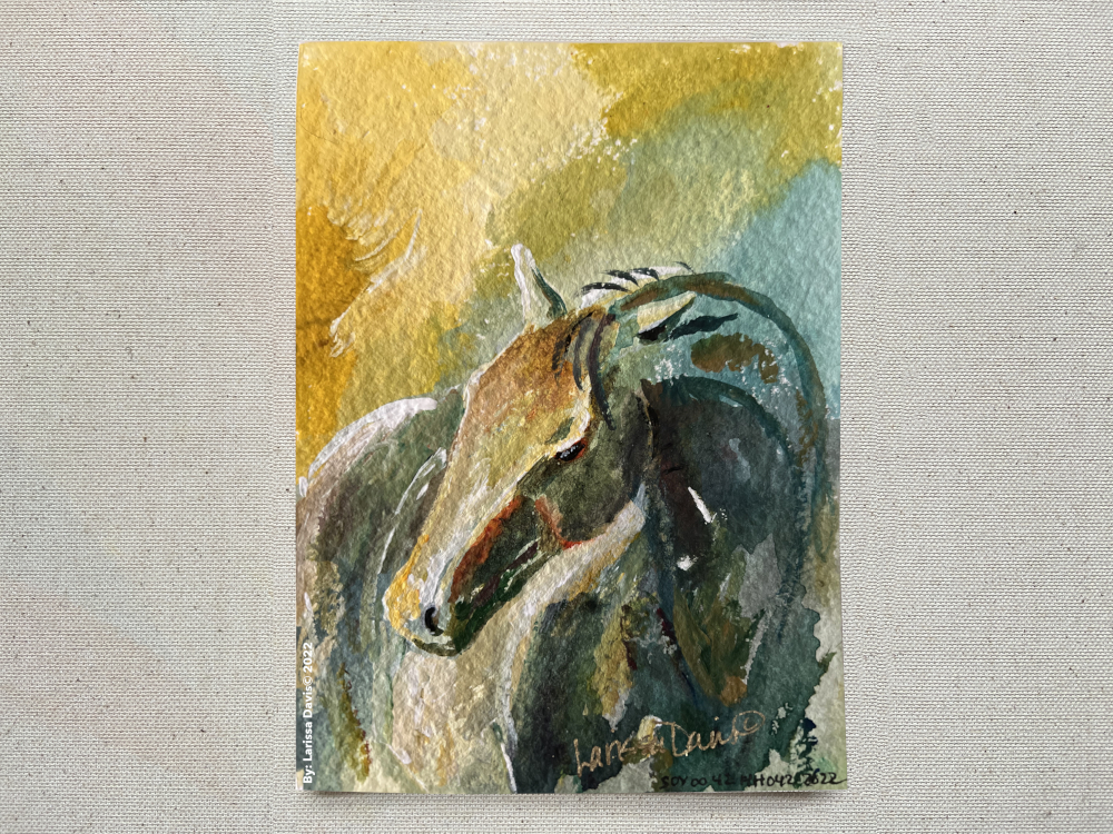Larissa Davis Sovereign Collection: The Hundred Horses 042