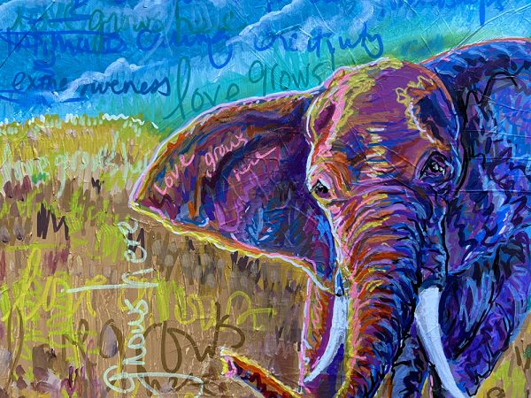 Jasmine the Elephant by Larissa Davis and Jeff Bailey